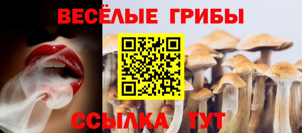 Псилоцибиновые грибы ЛСД Люберцы