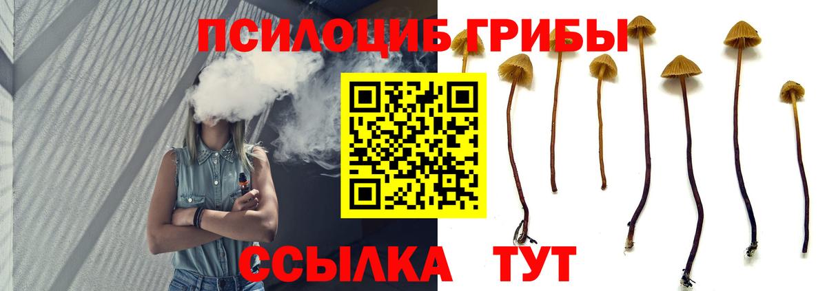 Люберцы  Псилоцибиновые грибы Psilocybe  Галлюциногенные грибы MAGIC MUSHROOMS  Вход с VPN 